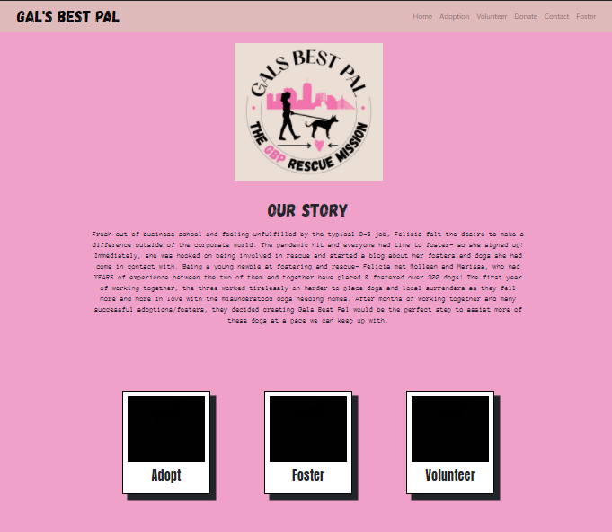 Animal Rescue Services